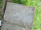 image of grave number 652840